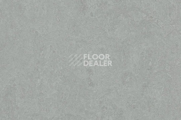 Линолеум Marmoleum Decibel 388935 cinder фото 1 | FLOORDEALER