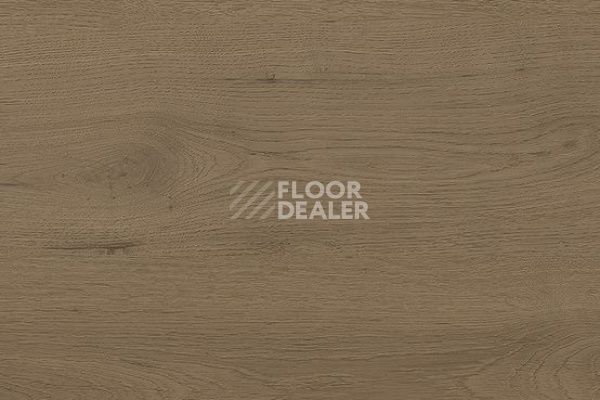 Линолеум Taralay Initial Compact (wood) 0980 Twist Brown фото 1 | FLOORDEALER