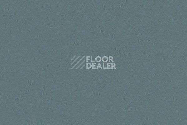 Линолеум Marmoleum Decibel on Order 337735 North Sea blue фото 1 | FLOORDEALER