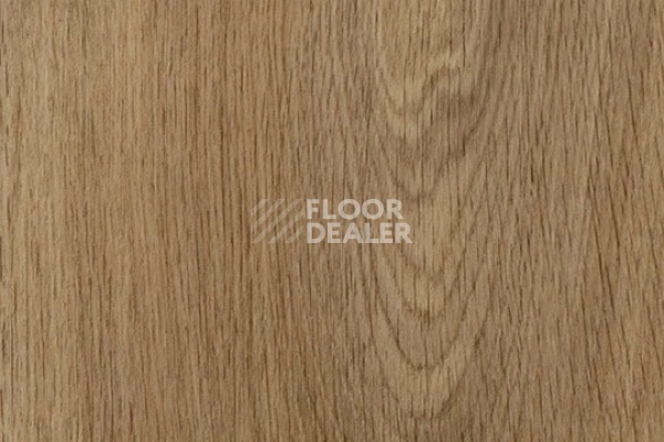 Плитка ПВХ Forbo allura decibel 0.8 wood 5513AD8 weathered serene oak (100x20 cm) фото 1 | FLOORDEALER