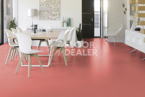 Линолеум Taralay Initial Compact (Plain & allover look) 0976 Spider Quartz фото 1 | FLOORDEALER