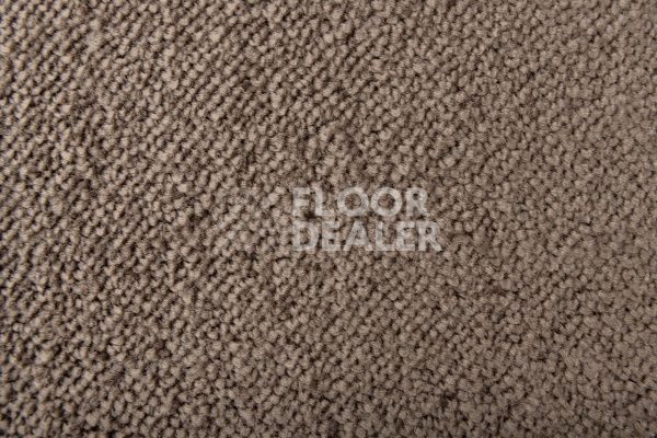 Ковролин Lano Sense Pure 989 фото 2 | FLOORDEALER