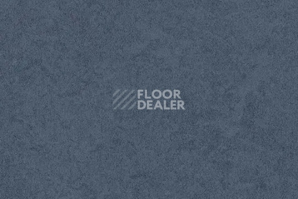 Линолеум FORBO Eternal Original 68742 blueberry фото 1 | FLOORDEALER