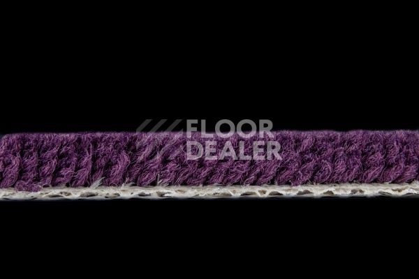 Ковролин Balsan Les Best S 899 фото 2 | FLOORDEALER