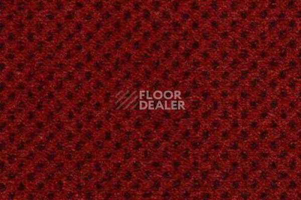 Ковролин CONDOR Carpets Nile 232 фото 1 | FLOORDEALER