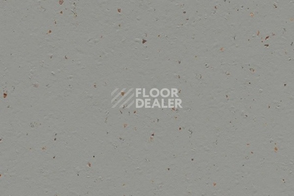 Линолеум Marmoleum Solid Cocoa 3594 chia seeds фото 1 | FLOORDEALER