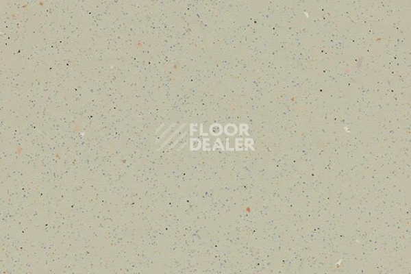 Линолеум FORBO SureStep Original 172472 white moss фото 1 | FLOORDEALER