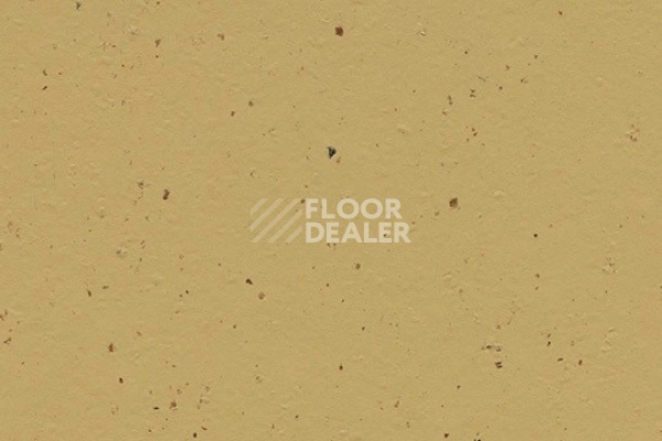 Линолеум Marmoleum Solid Cocoa 3587 curcuma фото 1 | FLOORDEALER