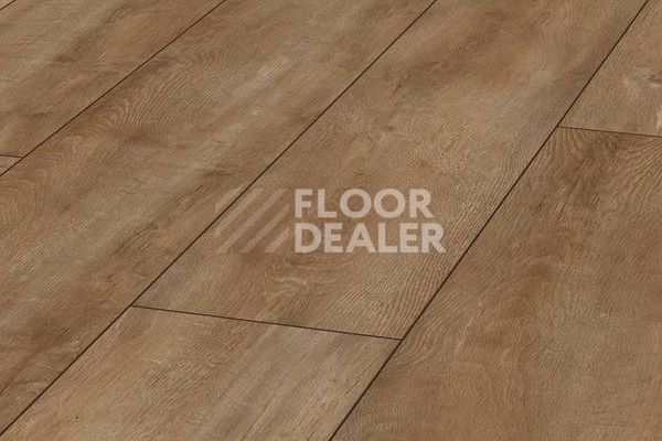 Ламинат Kronotex Exquisit Plus D4983 Дуб восточный натуральный фото 1 | FLOORDEALER