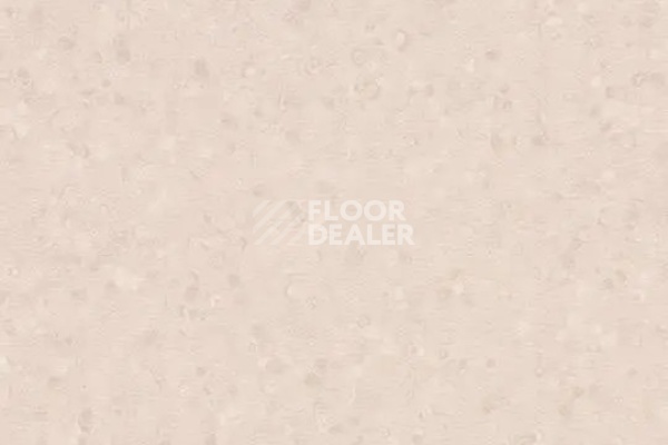 Линолеум Forbo Sphera Element 50072 light peach фото 1 | FLOORDEALER