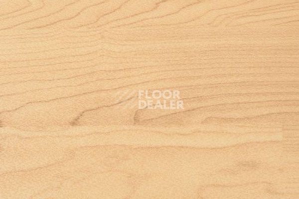 Линолеум Wood 6.5 6.5 Wood фото 1 | FLOORDEALER