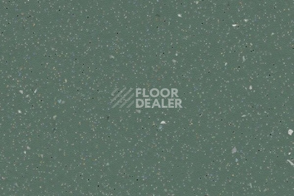 Линолеум FORBO SureStep Original 172362 kelp фото 1 | FLOORDEALER