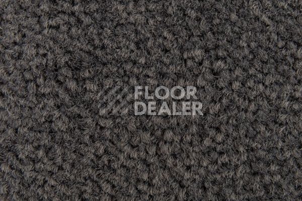 Ковролин Balsan Les Best S 992 фото 1 | FLOORDEALER