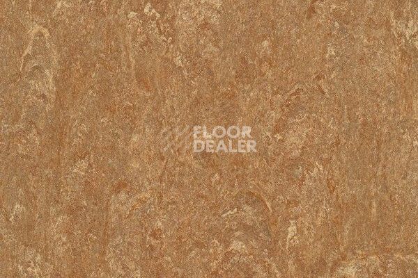 Линолеум Marmorette Dlv  Lch 2.5mm 121-140 фото 1 | FLOORDEALER