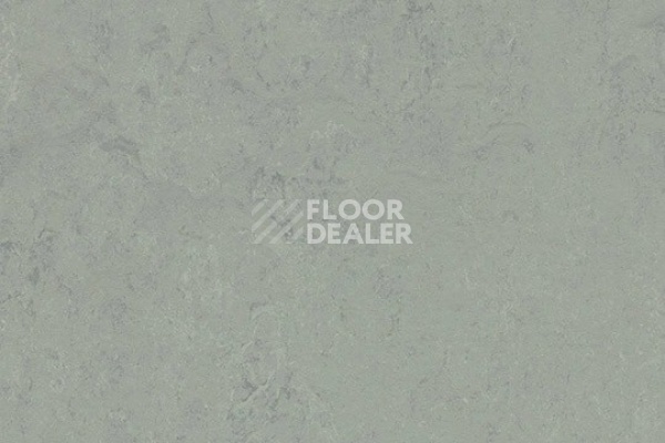 Линолеум Marmoleum Decibel on Order 376235 loam фото 1 | FLOORDEALER