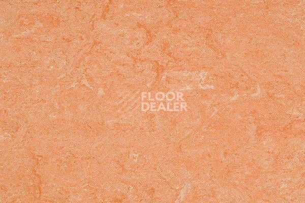 Линолеум Marmorette Dlv  Lch 2.5mm 121-075 фото 1 | FLOORDEALER