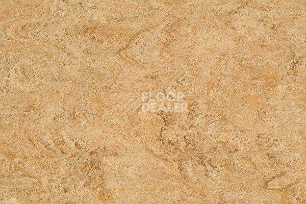 Линолеум Marmorette Dlv  Lch 2.5mm 121-070 фото 1 | FLOORDEALER