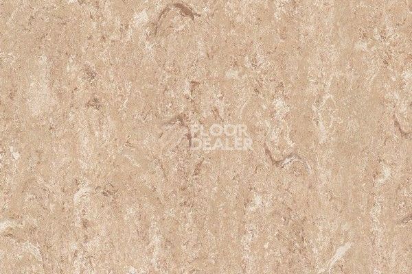 Линолеум Marmorette Dlv  Lch 2.5mm 121-146 фото 1 | FLOORDEALER