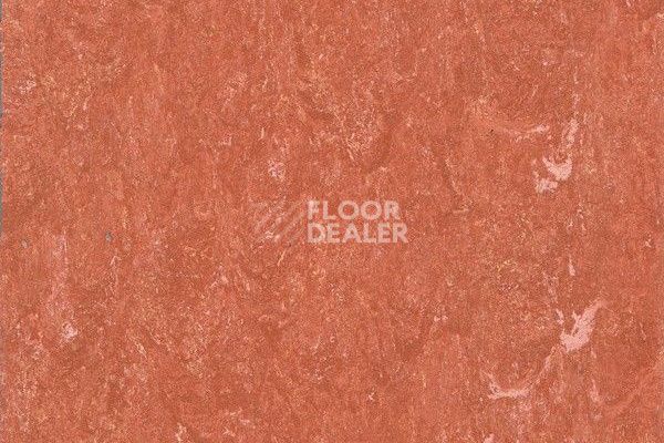 Линолеум Marmorette Dlv  Lch 2.5mm 121-115 фото 1 | FLOORDEALER