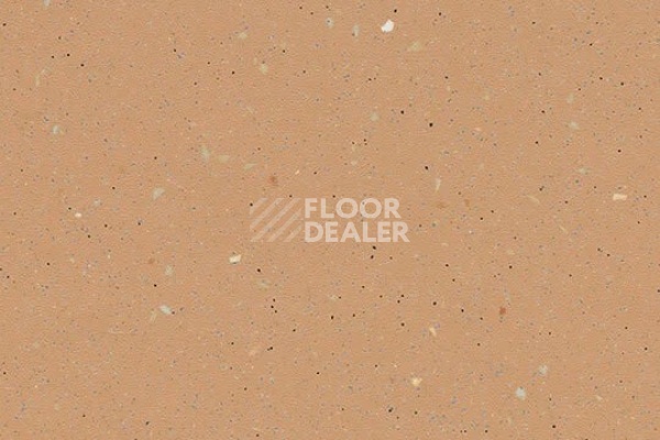 Линолеум FORBO SureStep Original 172952 blush фото 1 | FLOORDEALER