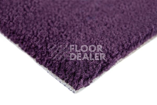 Ковролин Balsan Les Best S 899 фото 3 | FLOORDEALER