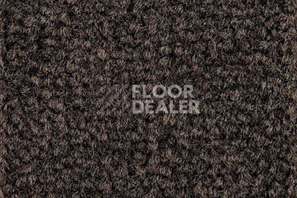 Ковролин Balsan Les Best S 791 фото 1 | FLOORDEALER