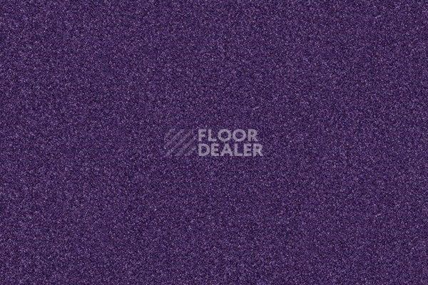Ковровая плитка Interface Polichrome 7580 Purple Rain  фото 1 | FLOORDEALER