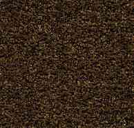 Грязезащитные покрытия Forbo Coral Brush 5736 Cinnamon Brown фото 1 | FLOORDEALER