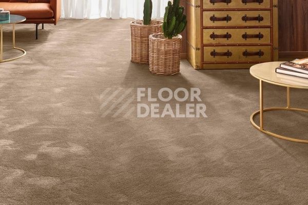 Ковролин Vorwerk Exclusive 1060/Safira 7G62 фото 1 | FLOORDEALER