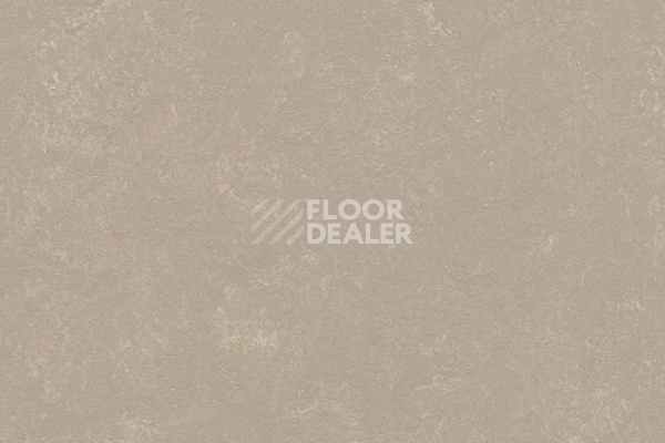 Линолеум Marmoleum Decibel 370835 fossil фото 1 | FLOORDEALER