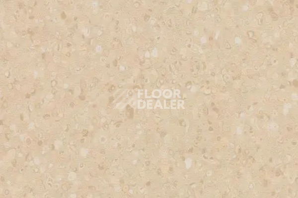 Линолеум Forbo Sphera Element 51023 Contrast sand фото 1 | FLOORDEALER