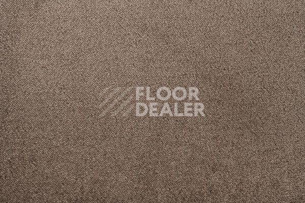 Ковролин Lano Sense Pure 989 фото 1 | FLOORDEALER