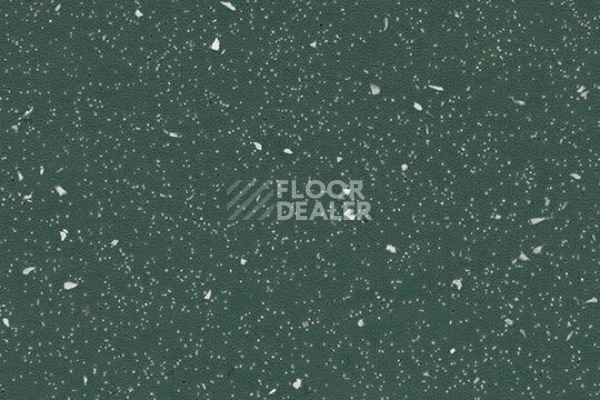 Линолеум FORBO SureStep Original 172072 dark kelp фото 1 | FLOORDEALER