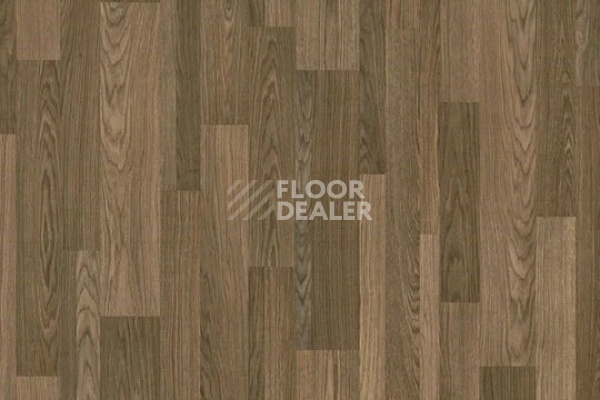 Линолеум FORBO SureStep WOOD 18282 steamed multisize oak фото 1 | FLOORDEALER