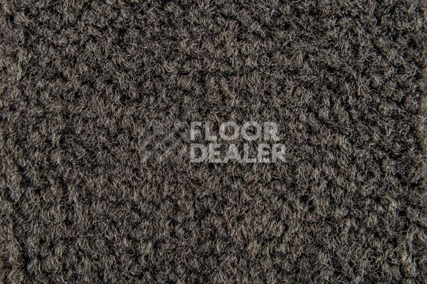 Ковролин Balsan Les Best S 790 фото 1 | FLOORDEALER