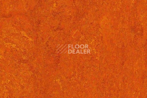 Линолеум Marmorette Dlv  Lch 2.5mm 121-117 фото 1 | FLOORDEALER