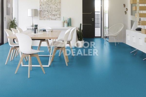 Линолеум Taralay Initial Compact (Plain & allover look) 0974 Spider Saphir фото 1 | FLOORDEALER