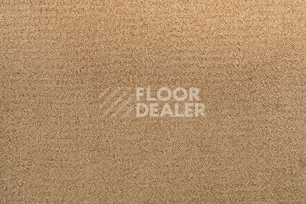 Ковролин Lano Sense Pure 338 фото 1 | FLOORDEALER